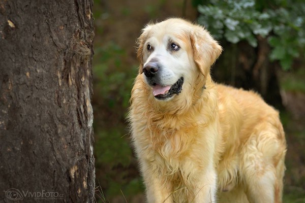 13838401_10207180919904846_206563415_o