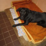 Hubert