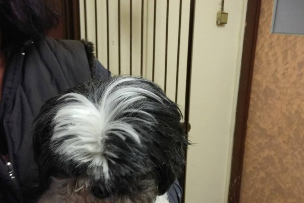 26513231_1608495482537887_1988385656_o