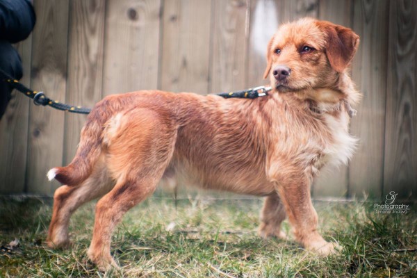 29513538_10213908214532757_468271142_o