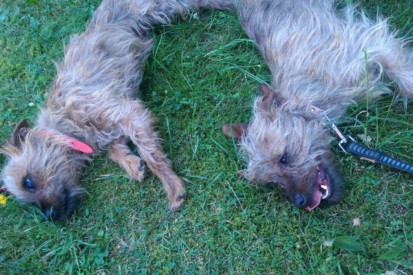 37933972_1700505920057687_6902670077179461632_n