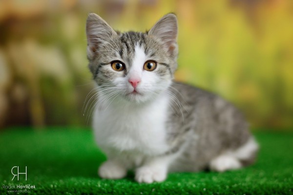 79970966_464694294246828_4355378179976724480_n