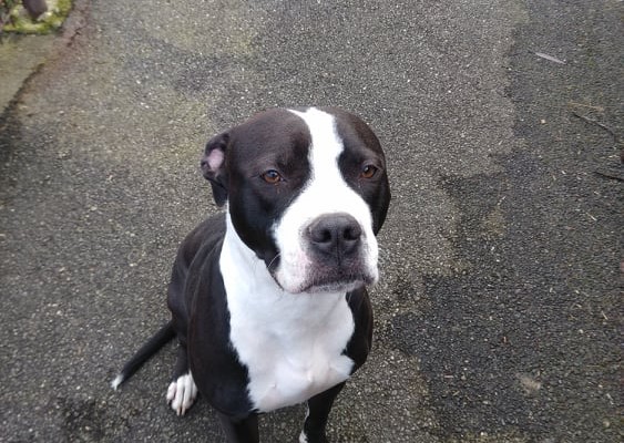 87469711_262968554691178_3226370821345771520_n