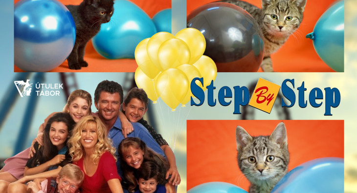 step-by-step-kocky