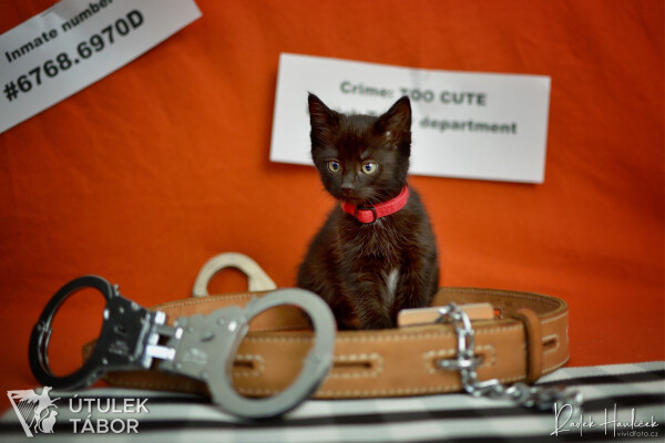 313481854_3151378548508519_4393299530123344782_n