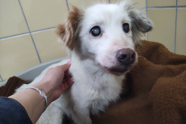 325482261_583287803183340_4615461450434609354_n