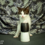 Salt and Pepper