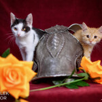 Theon a Lyanna