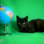 Manx
