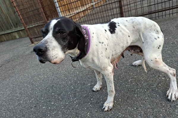 WhatsApp Image 2025-05-03 at 09.06.10