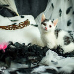 Lilith, Asmodeus, Azazel, Belial a Samael