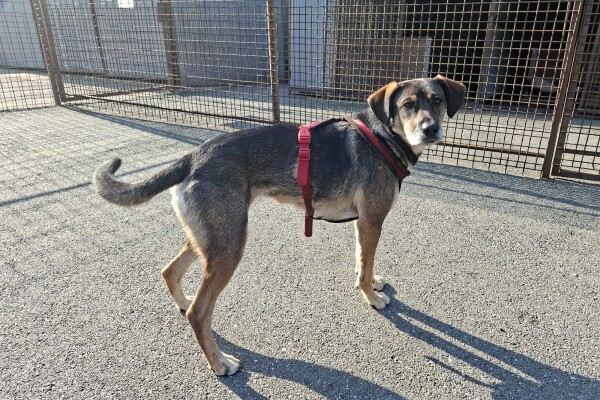 WhatsApp Image 2025-08-13 at 10.20.53