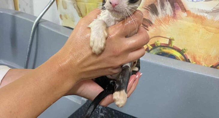 57 G