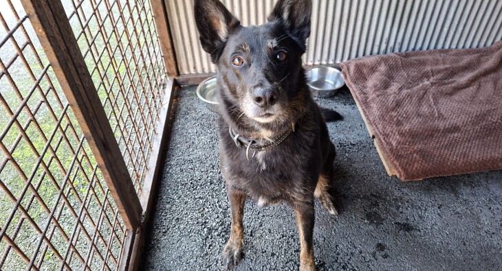 WhatsApp Image 2025-09-08 at 08.15.57