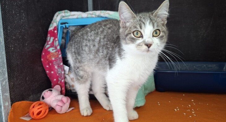 WhatsApp Image 2025-09-15 at 10.27.52(1)