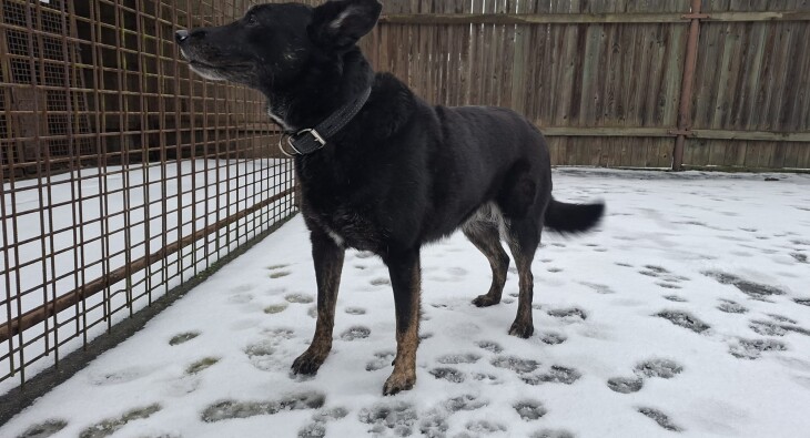 WhatsApp Image 2025-11-26 at 10.21.21(1)