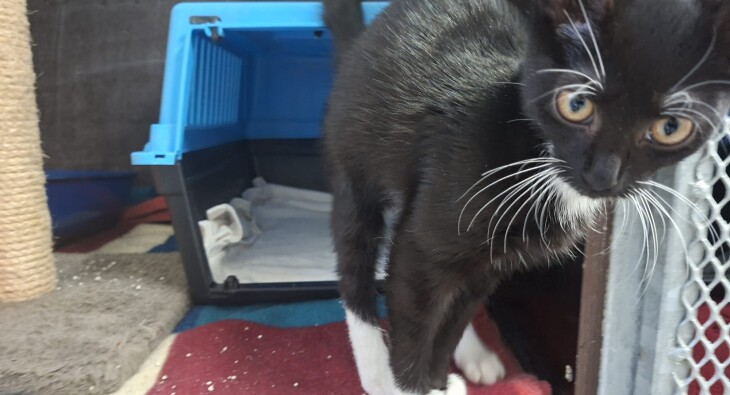 WhatsApp Image 2025-12-20 at 08.51.51