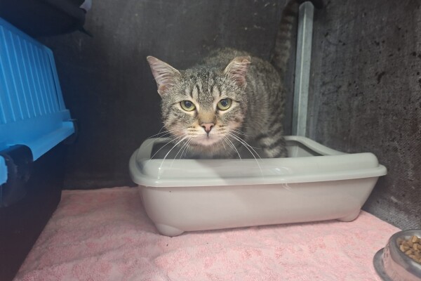 WhatsApp Image 2026-01-12 at 13.32.22(1)