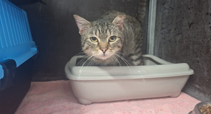 WhatsApp Image 2026-01-12 at 13.32.22(1)