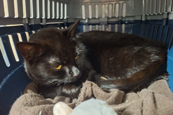 WhatsApp Image 2026-01-25 at 14.41.24