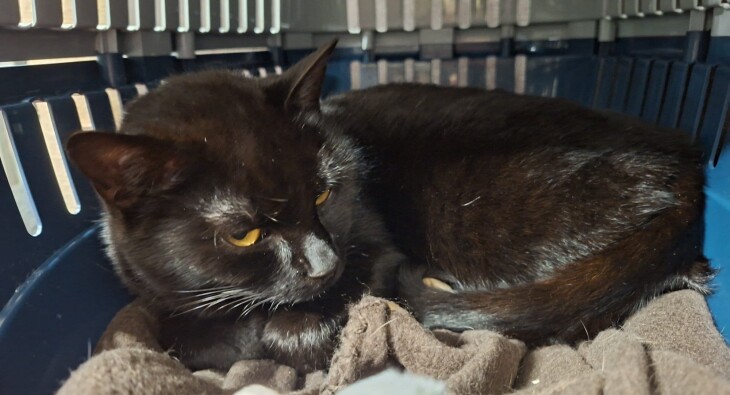 WhatsApp Image 2026-01-25 at 14.41.24