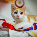 Viktor