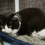 neznámé